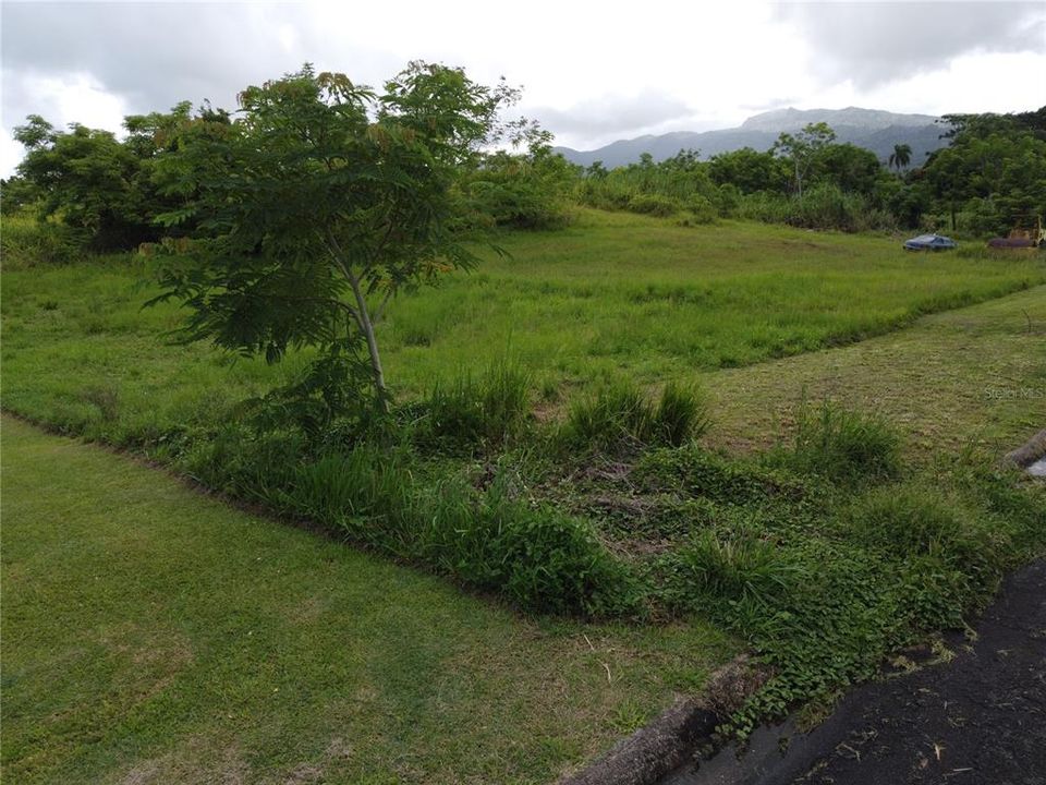 For Sale: $75,000 (0.01 acres)