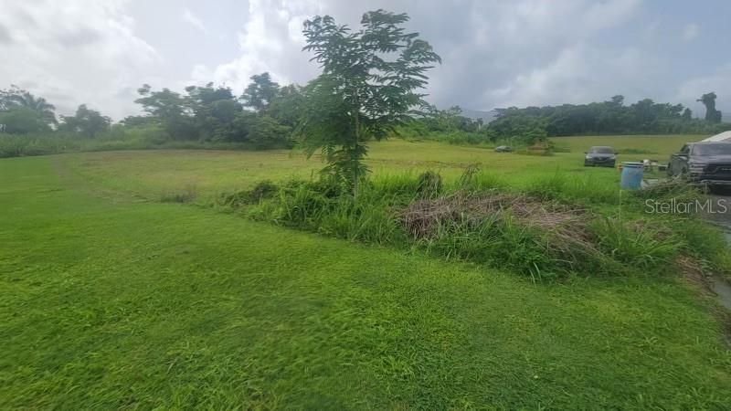 For Sale: $75,000 (0.01 acres)