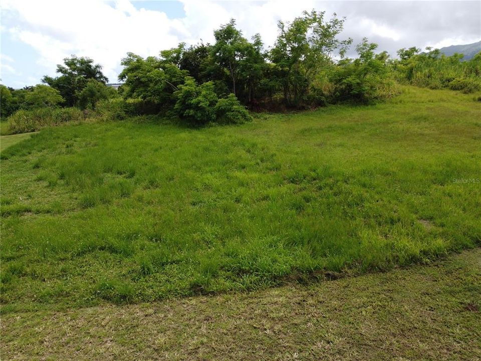 For Sale: $75,000 (0.01 acres)