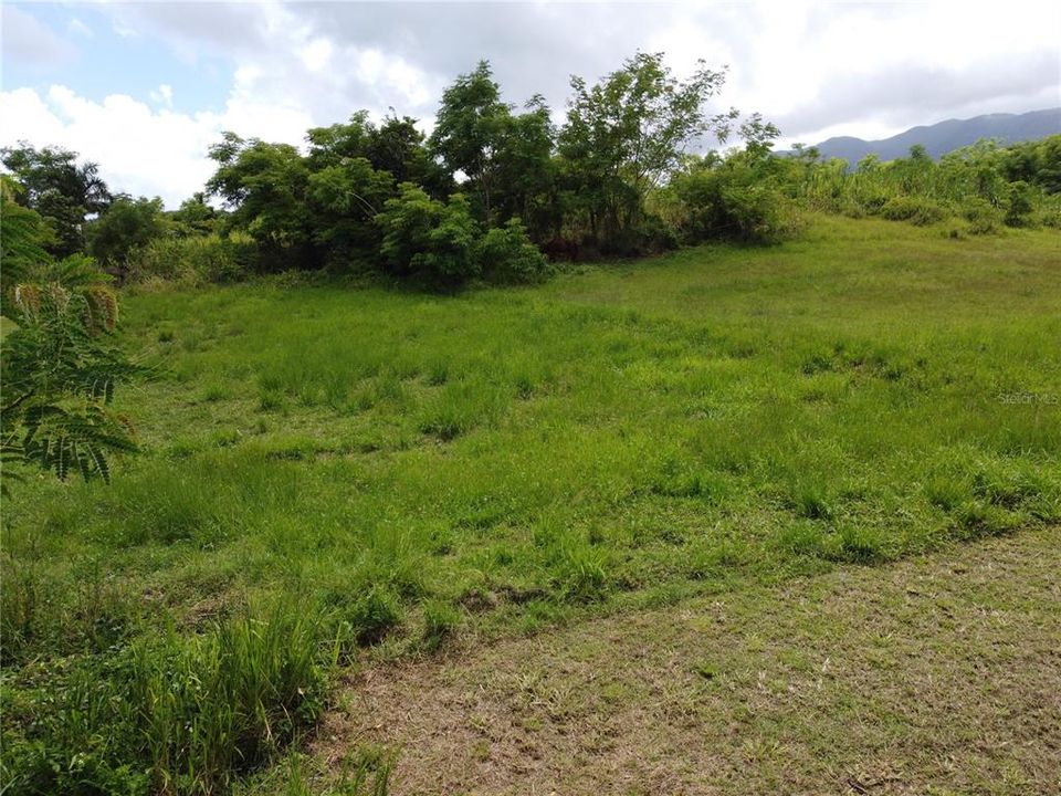 For Sale: $75,000 (0.01 acres)