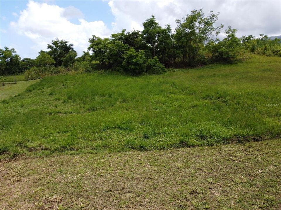 For Sale: $75,000 (0.01 acres)