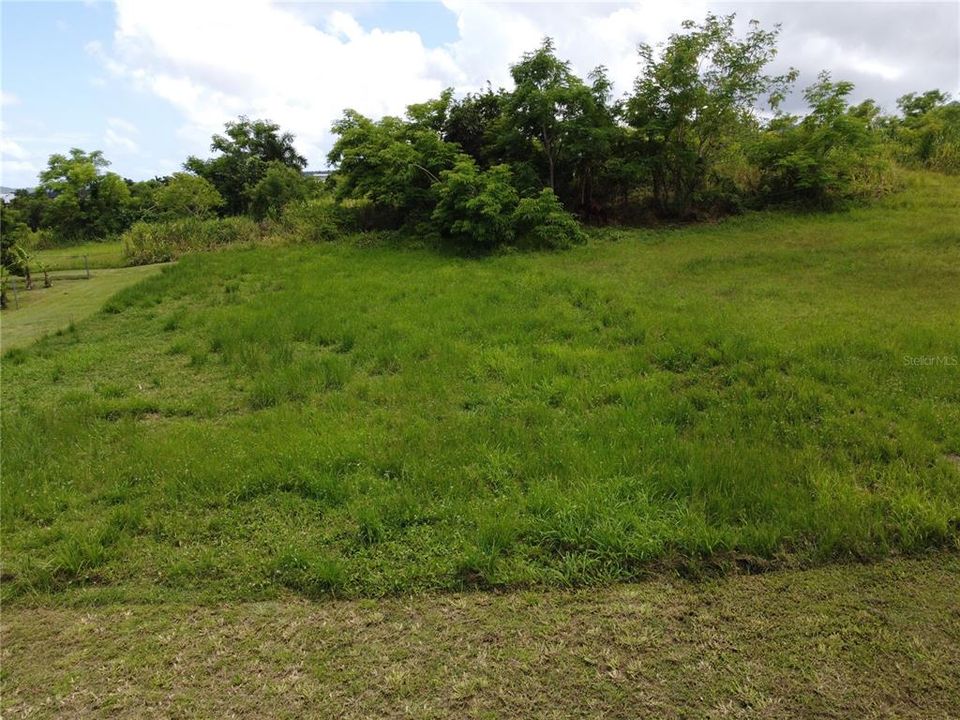 For Sale: $75,000 (0.01 acres)