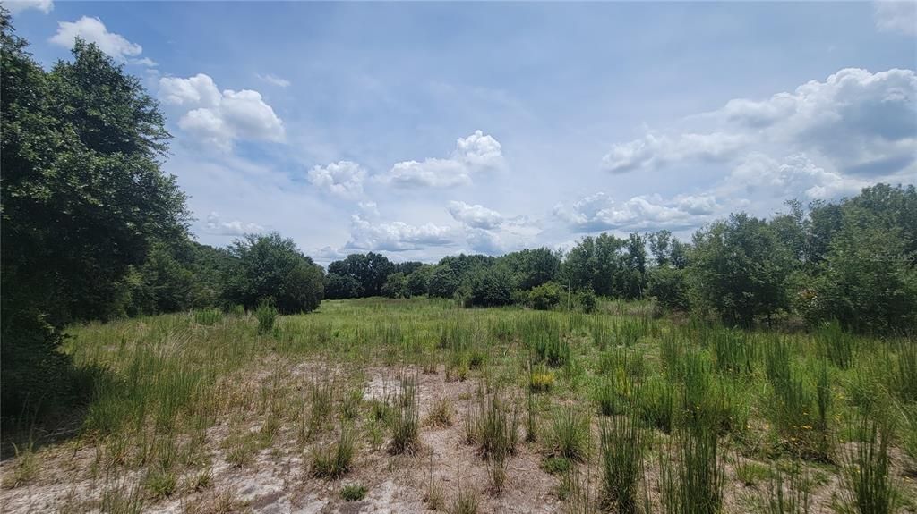 For Sale: $599,900 (9.45 acres)