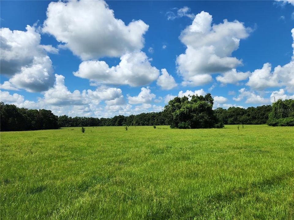 Recently Sold: $499,900 (32.75 acres)
