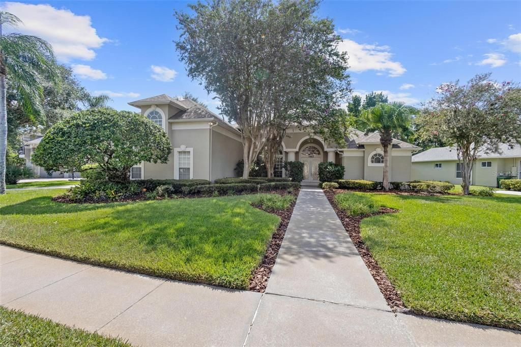 Welcome to Paradise!