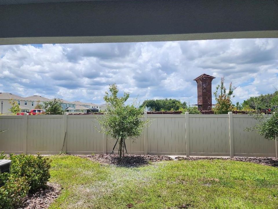 View from family room