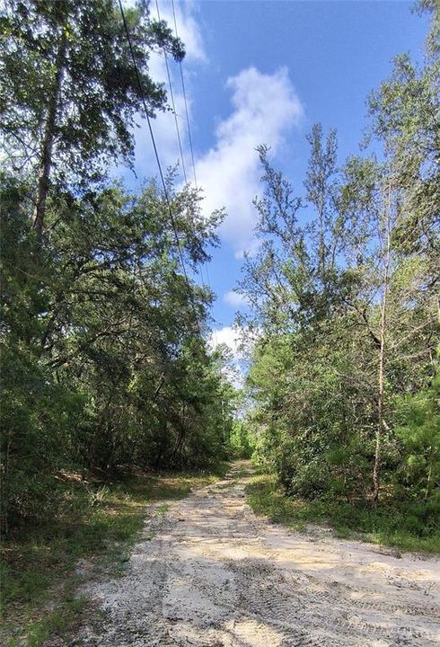 Recently Sold: $16,500 (1.10 acres)