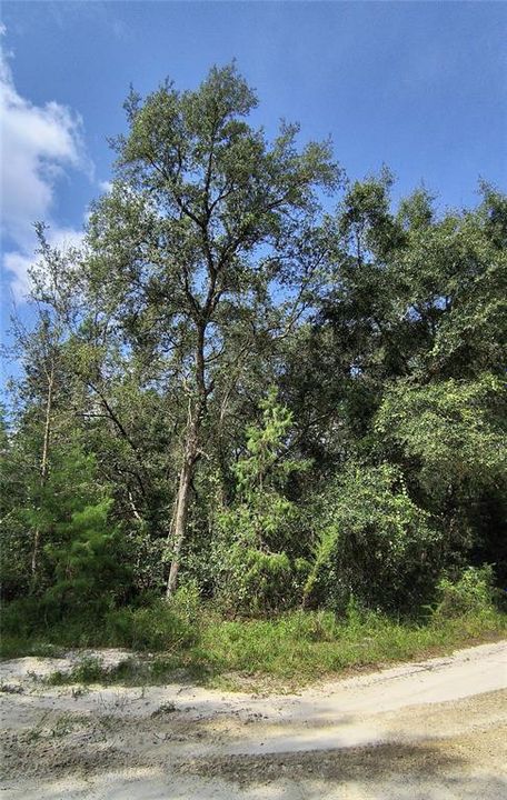 Recently Sold: $16,500 (1.10 acres)