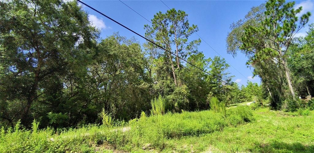 Recently Sold: $16,500 (1.10 acres)