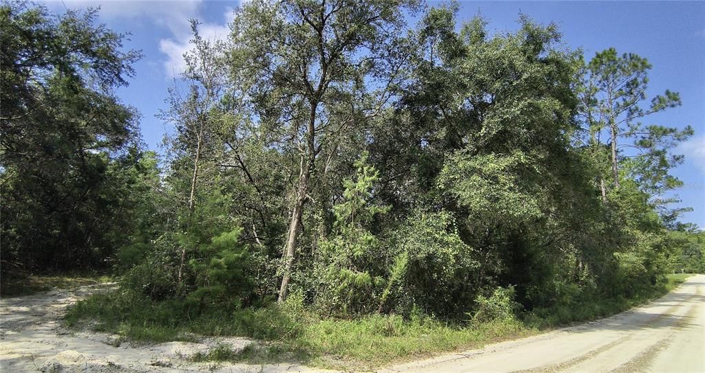Recently Sold: $16,500 (1.10 acres)