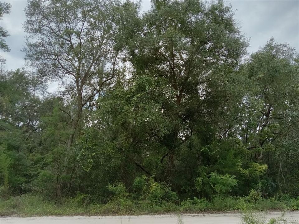 Recently Sold: $16,500 (1.10 acres)