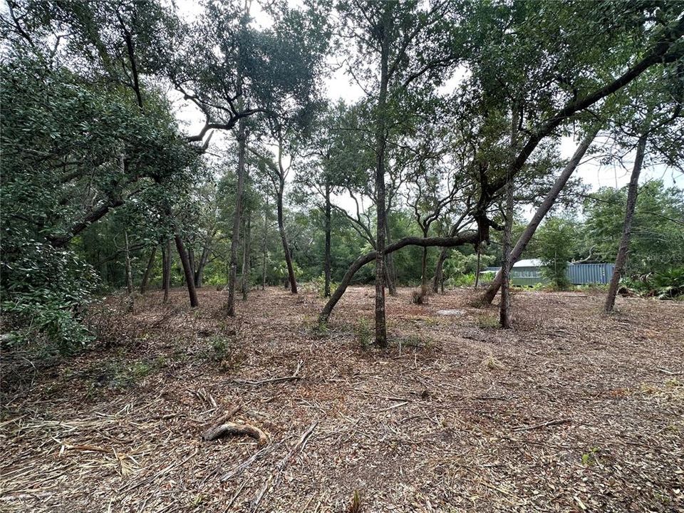 Recently Sold: $18,500 (0.46 acres)