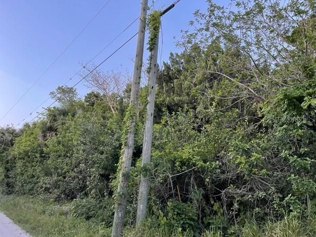 Electricity available on Hammock Rd in front of property