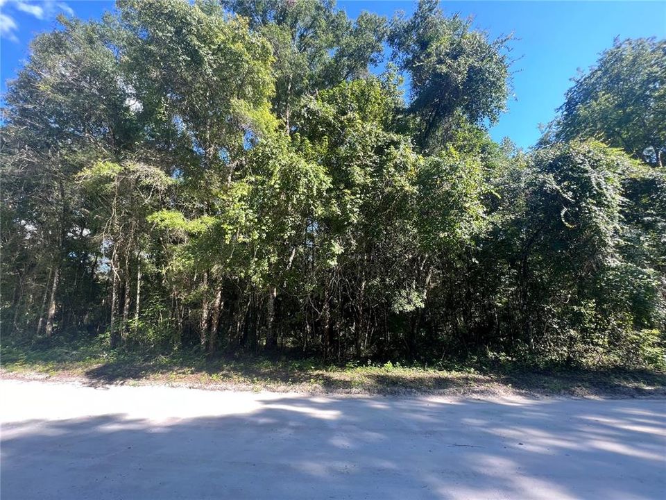 Recently Sold: $29,500 (3.93 acres)