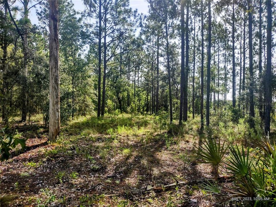 Vendido Recientemente: $49,900 (2.12 acres)