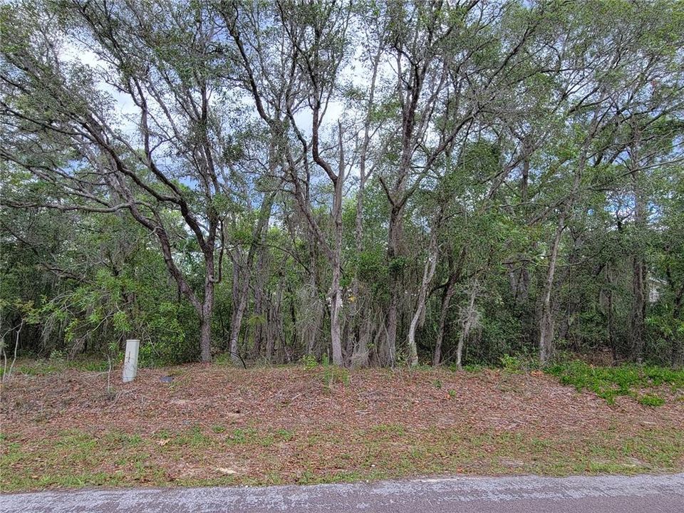 Recently Sold: $24,500 (0.55 acres)