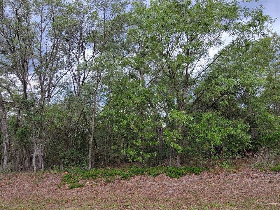 Recently Sold: $24,500 (0.55 acres)