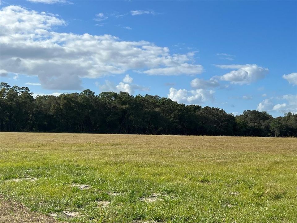 Active With Contract: $325,250 (13.01 acres)