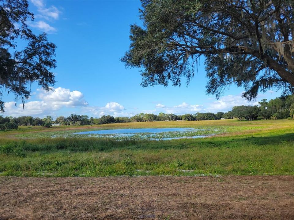 Active With Contract: $325,250 (13.01 acres)