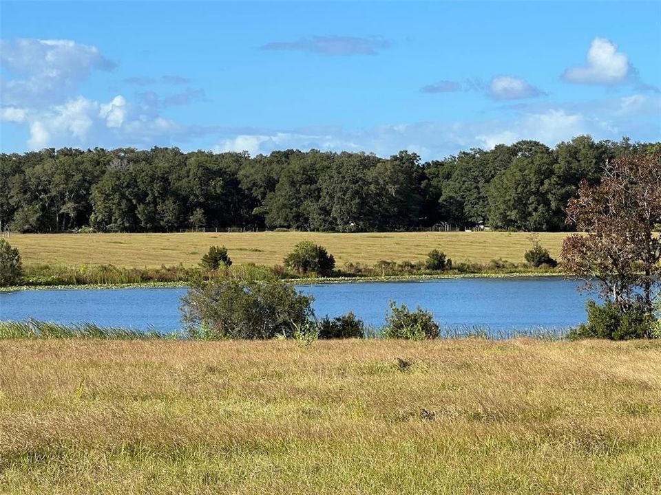 На продажу: $450,900 (20.04 acres)