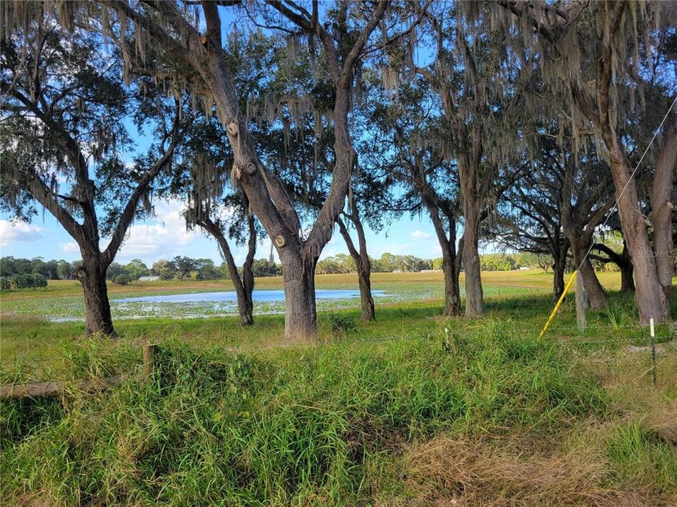 Active With Contract: $253,000 (10.12 acres)