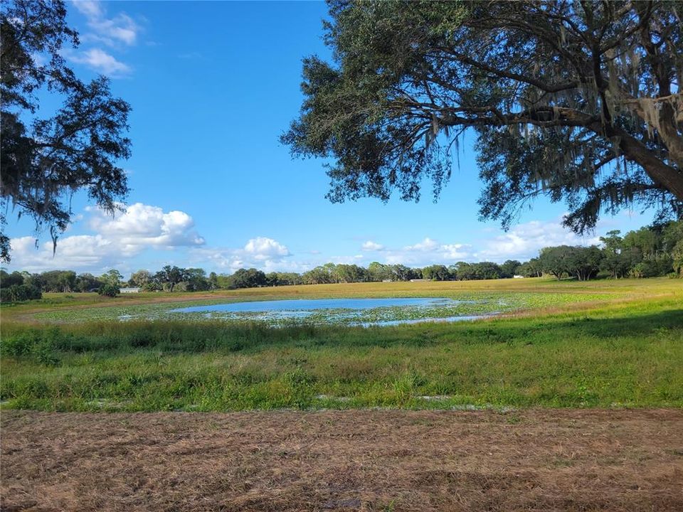 Active With Contract: $250,750 (10.03 acres)