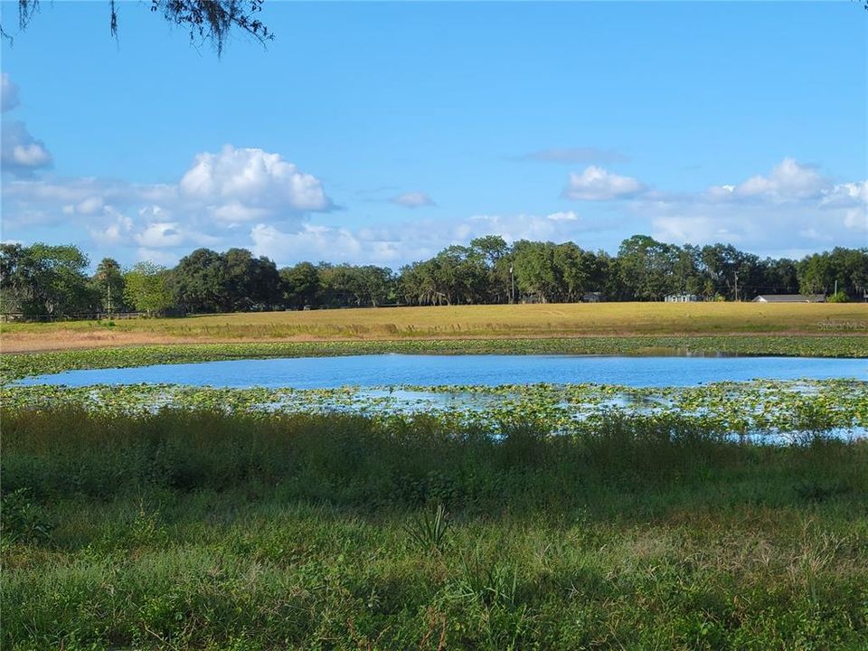 Active With Contract: $250,750 (10.03 acres)