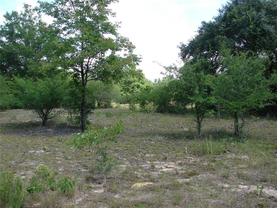 En Venta: $190,000 (19.32 acres)