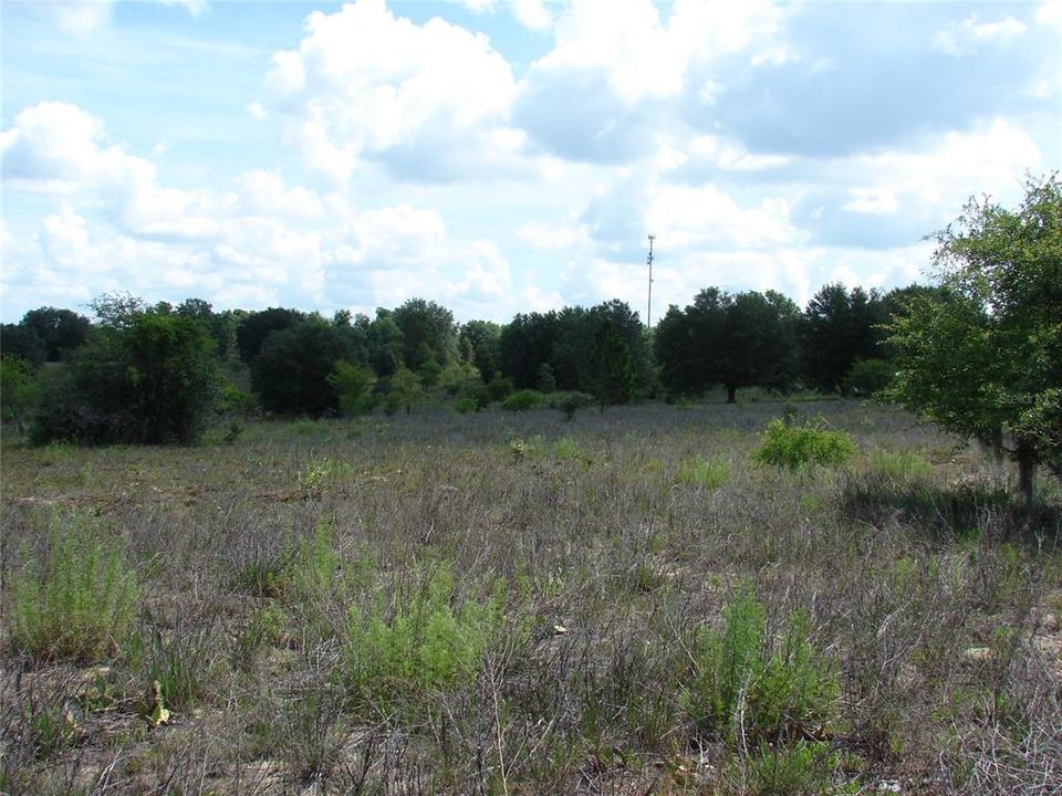 For Sale: $190,000 (19.32 acres)