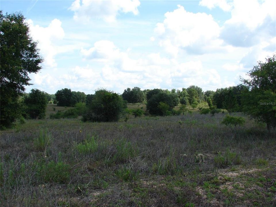 For Sale: $190,000 (19.32 acres)