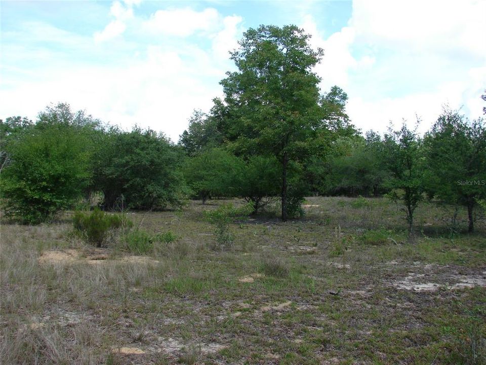 En Venta: $190,000 (19.32 acres)