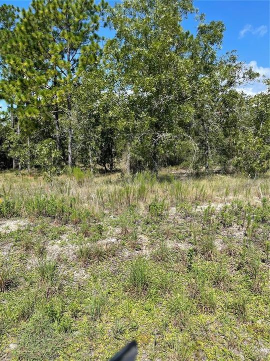 For Sale: $69,900 (0.99 acres)