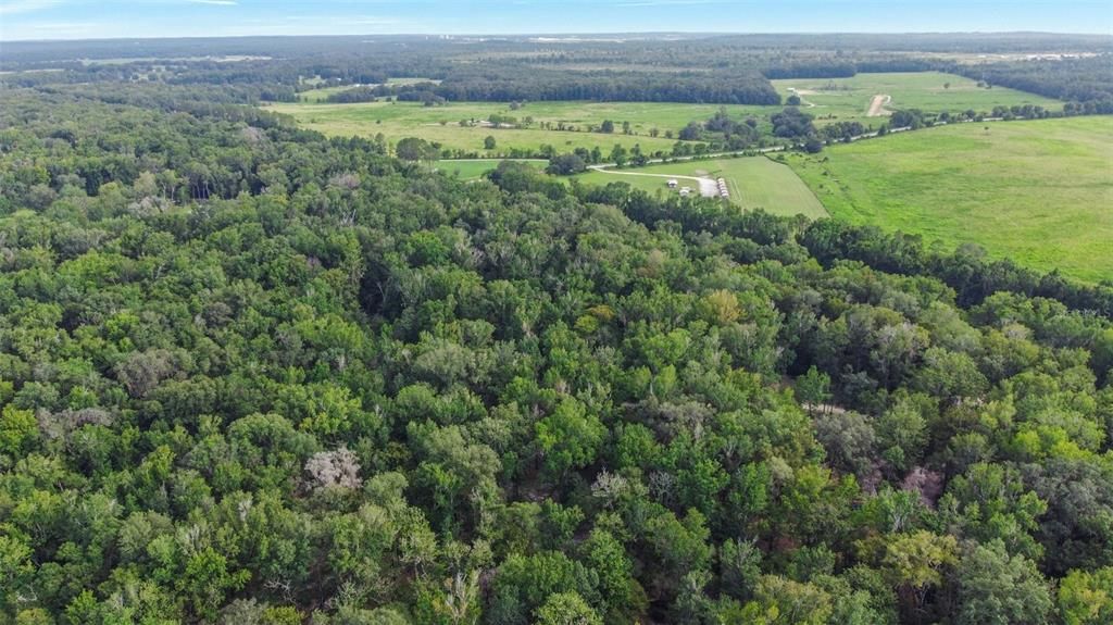 Recently Sold: $350,000 (10.00 acres)