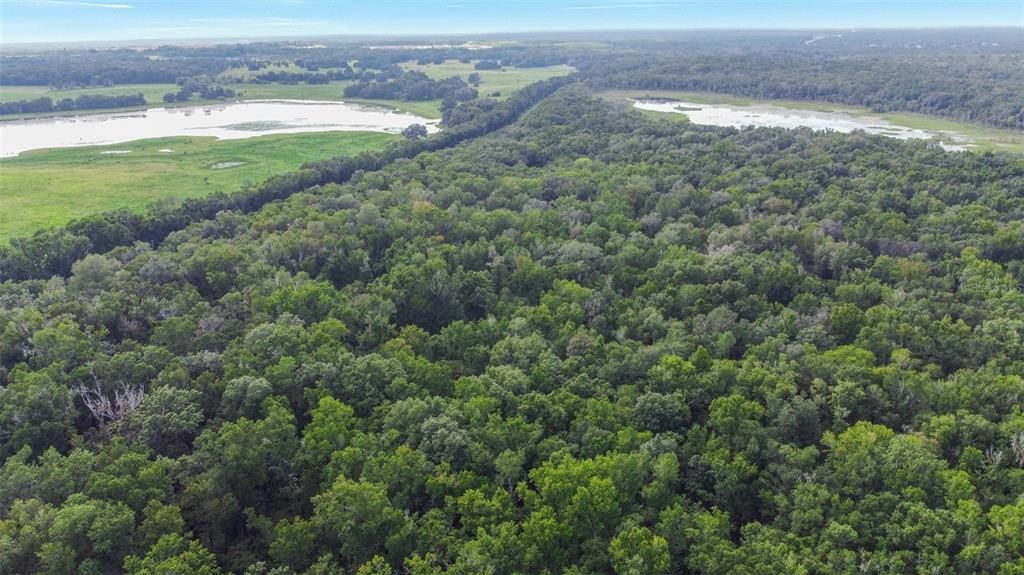 Недавно продано: $350,000 (10.00 acres)