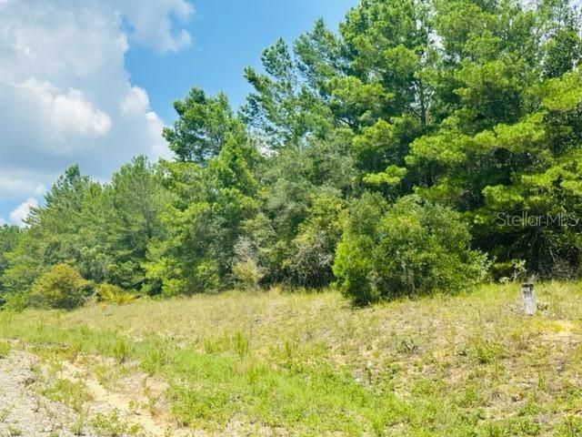 Recently Sold: $125,000 (10.05 acres)