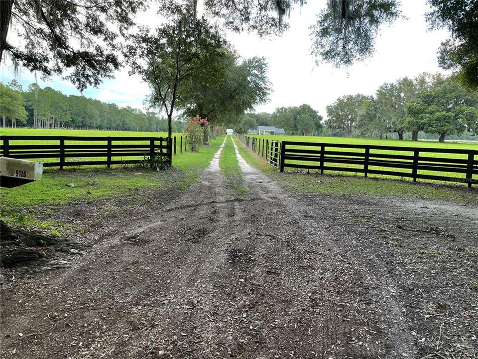 Driveway between the two 5 acre lots