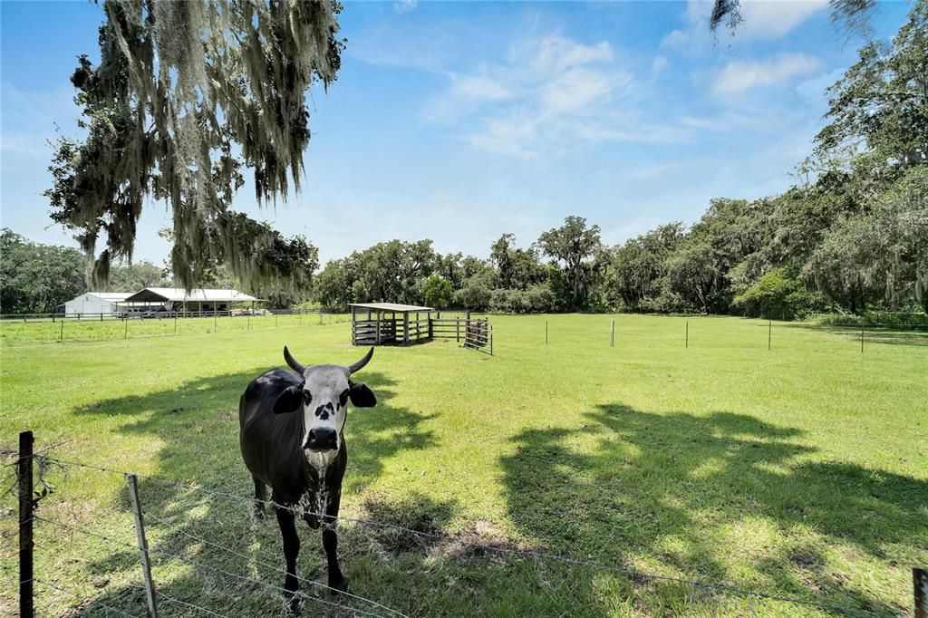 Active With Contract: $799,900 (2.71 acres)