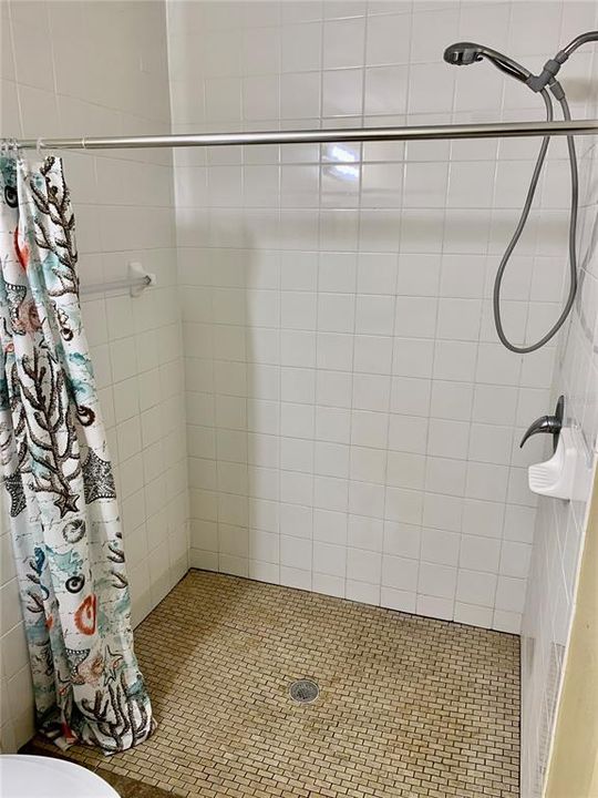 Handicap accessible shower