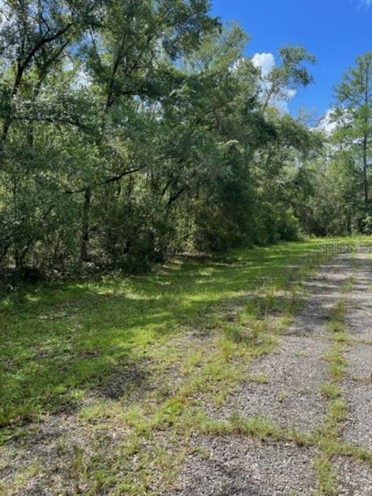 For Sale: $15,000 (0.36 acres)