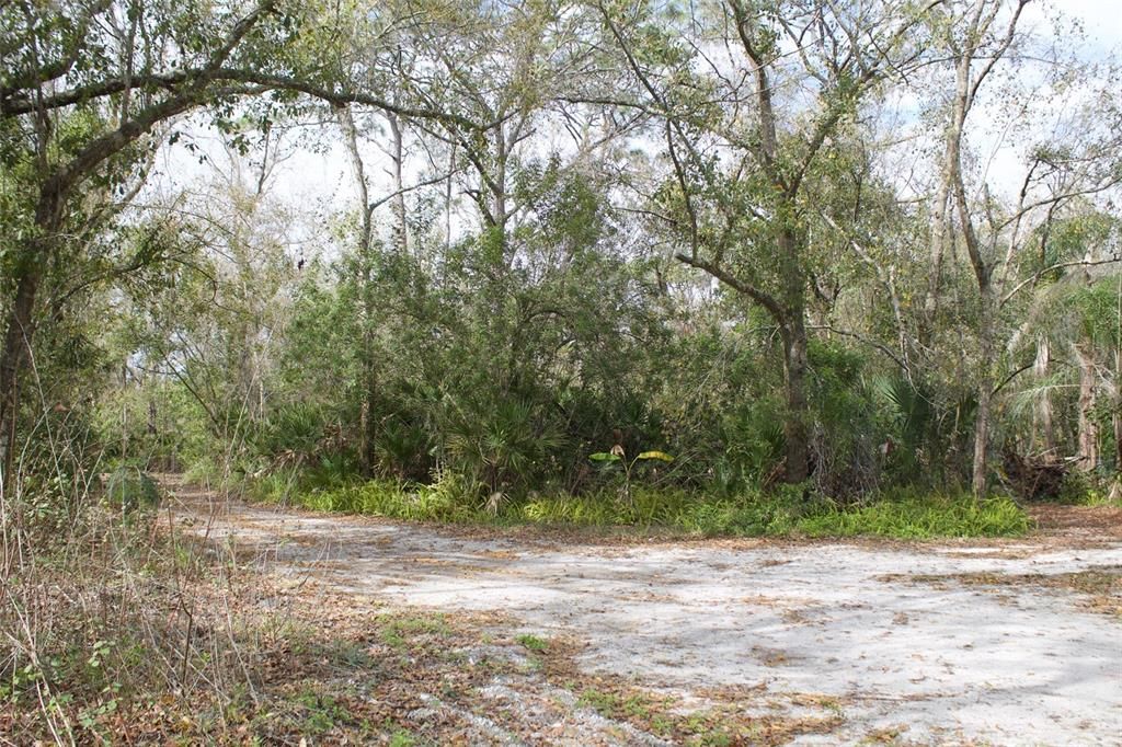 For Sale: $380,000 (5.48 acres)
