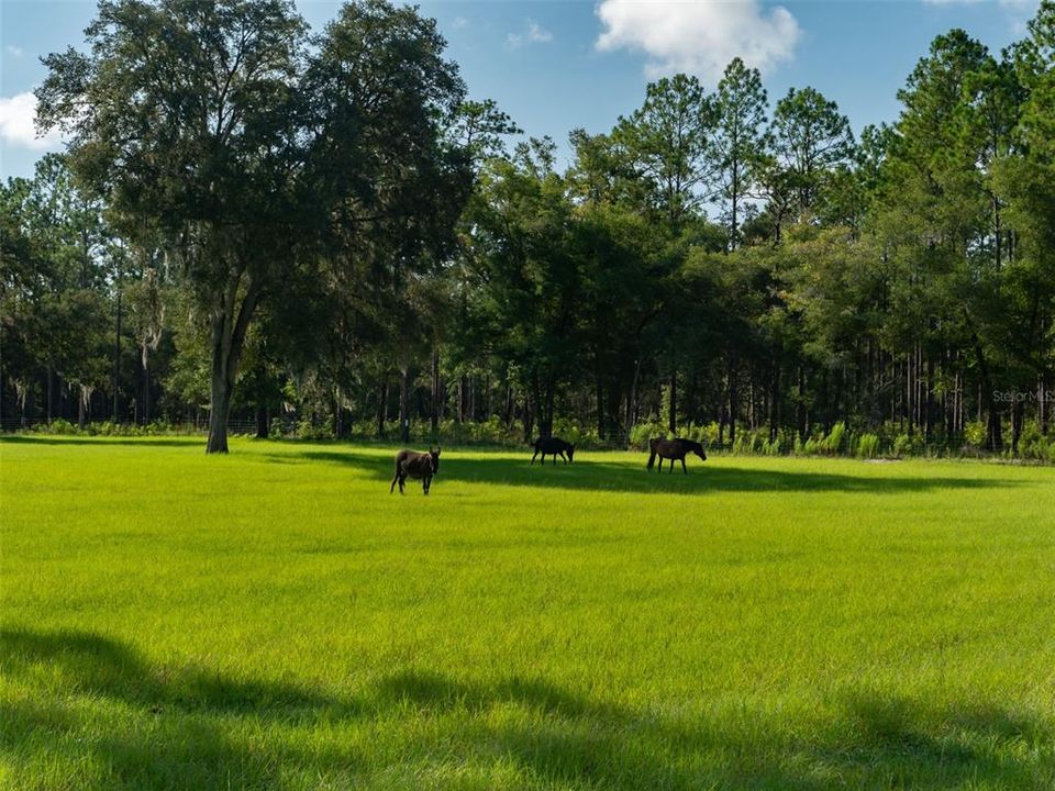 Vendido Recientemente: $1,399,000 (3 camas, 2 baños, 2319 Pies cuadrados)