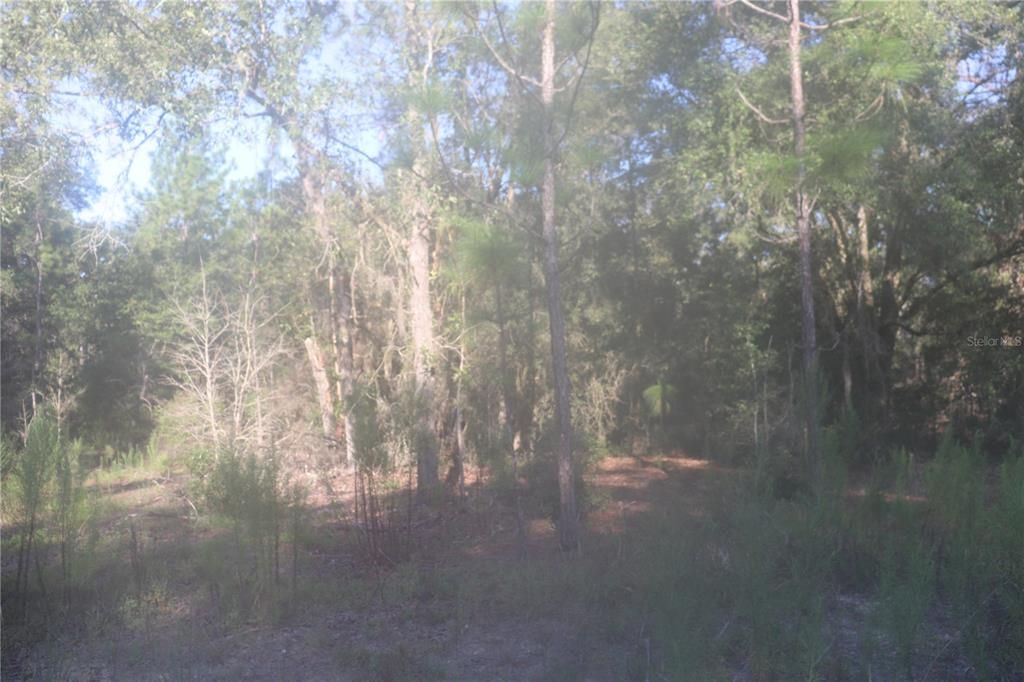 Recently Sold: $6,800 (0.24 acres)