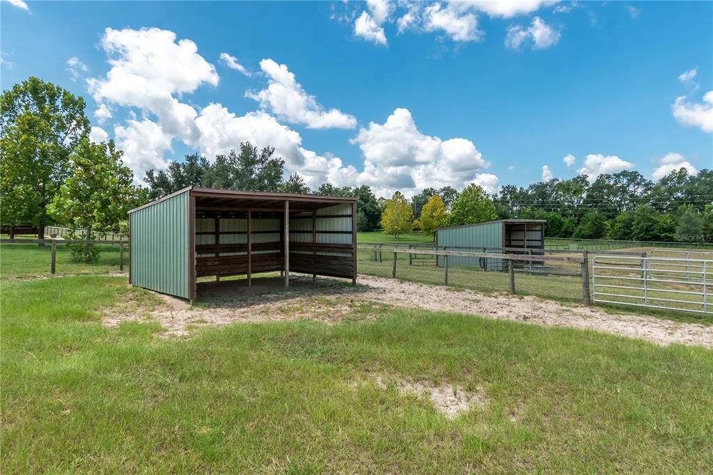 Run in sheds in the paddocks .