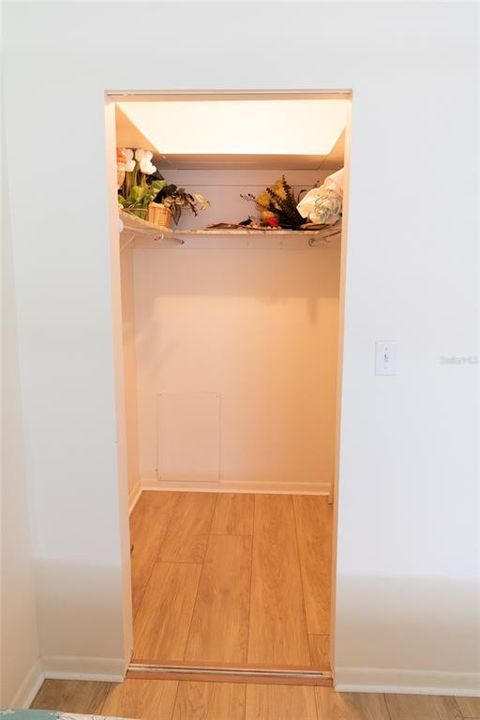 Walk-in Closet in Bedroom