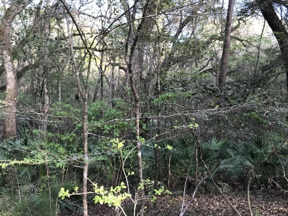 Recently Sold: $5,900 (0.26 acres)