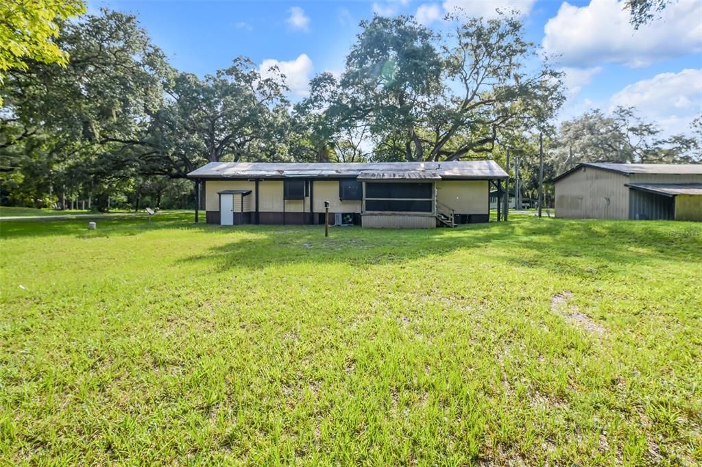 Back yard and back of house