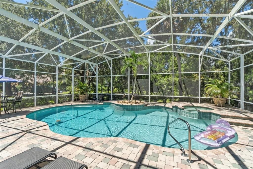 Screened Pool & Spa