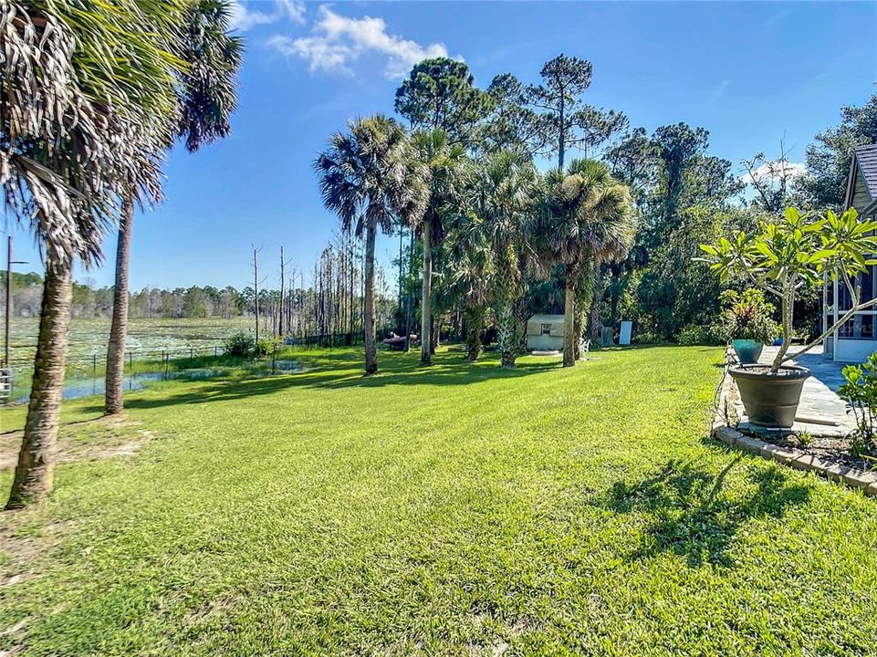 view from west to east, backyard