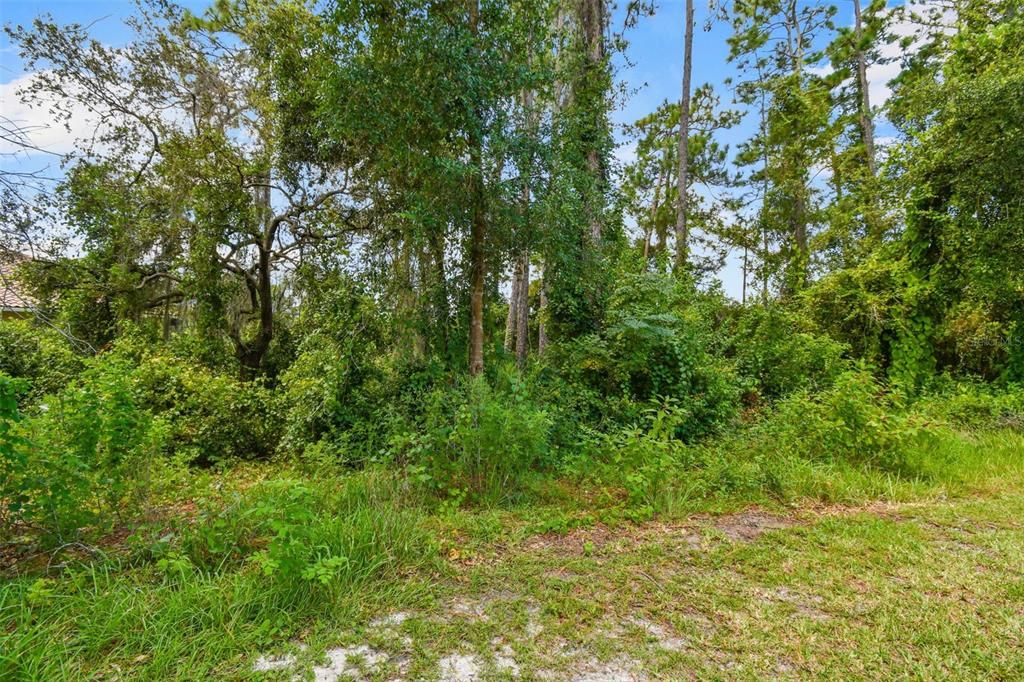 For Sale: $159,900 (1.06 acres)