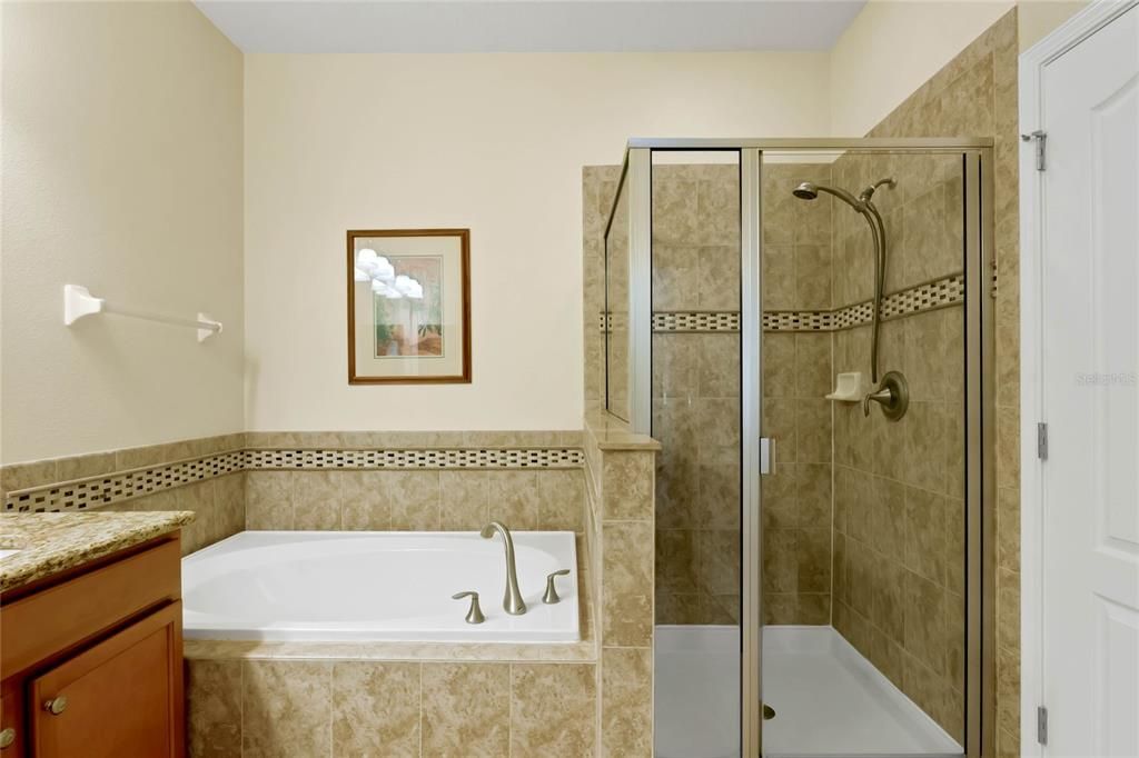 Garden tub and shower in the master bath.